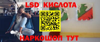 дмт Будённовск