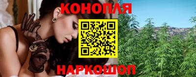 дмт Будённовск