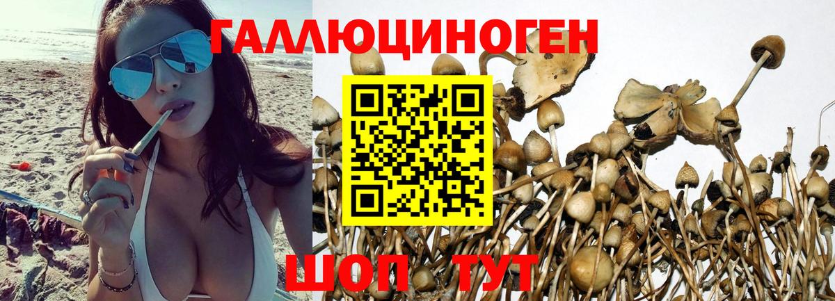 даркнет сайт  Псилоцибиновые грибы прущие грибы  Вход с VPN  Уссурийск 